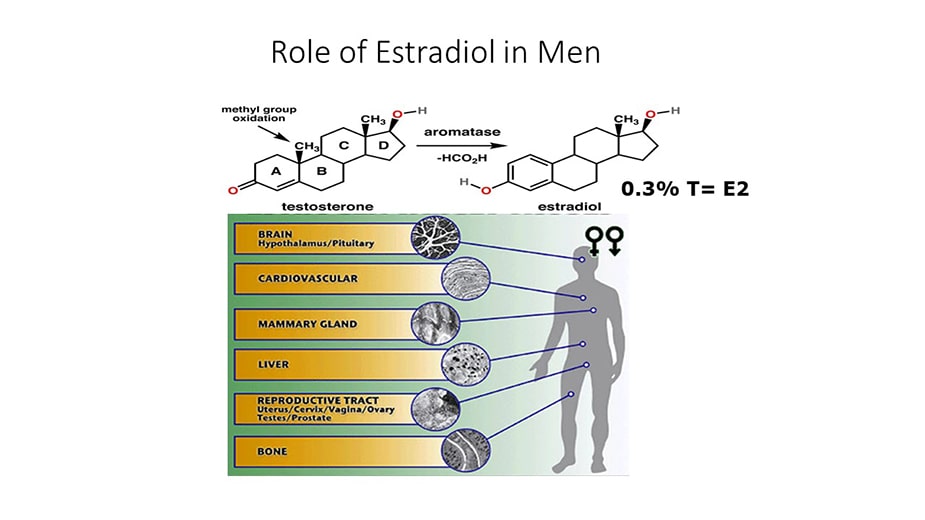 high low estradiol symptoms in men